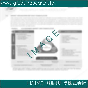 グローバルリサーチ調査資料のイメージ